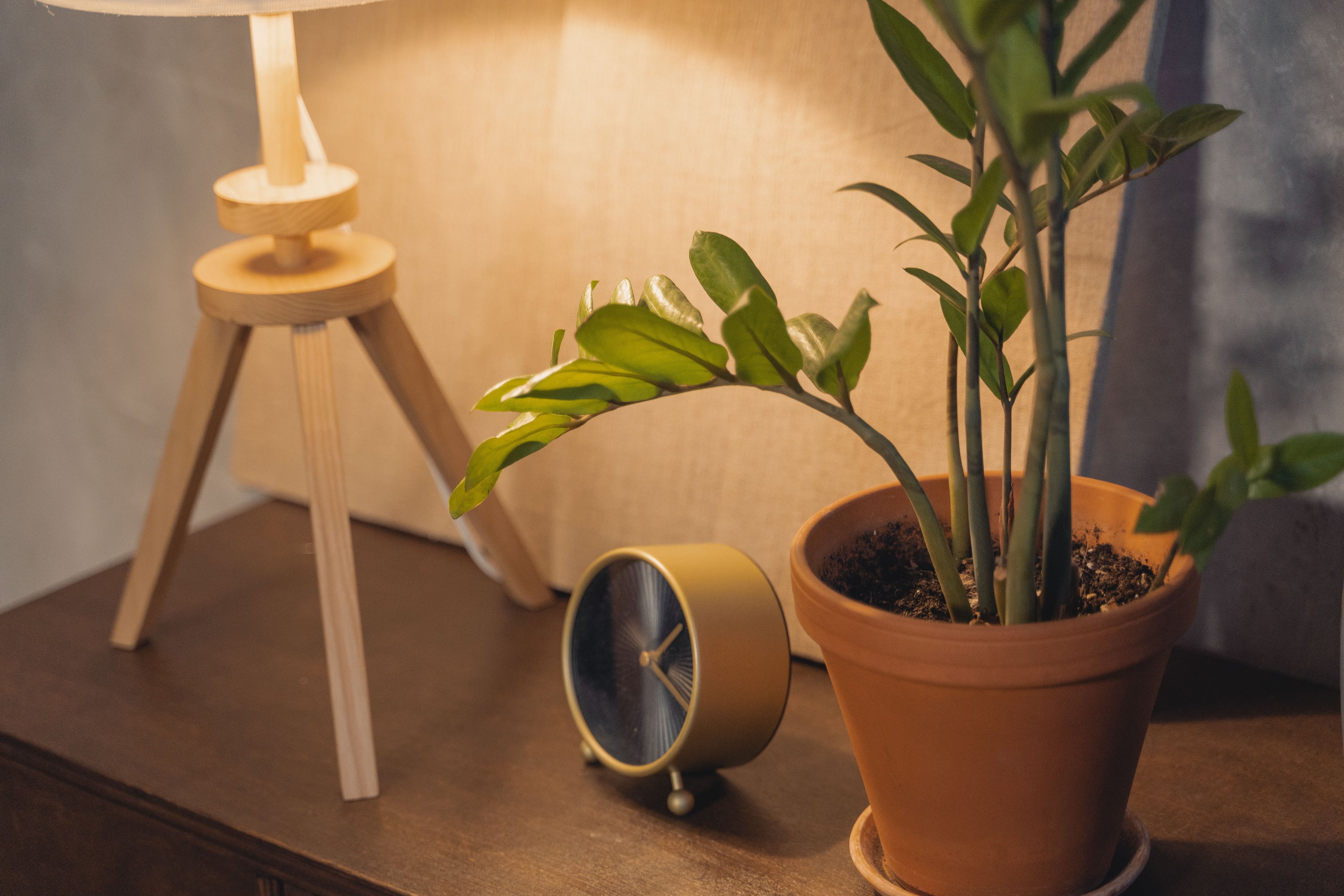 slider image 1621243260e1af0c20-2